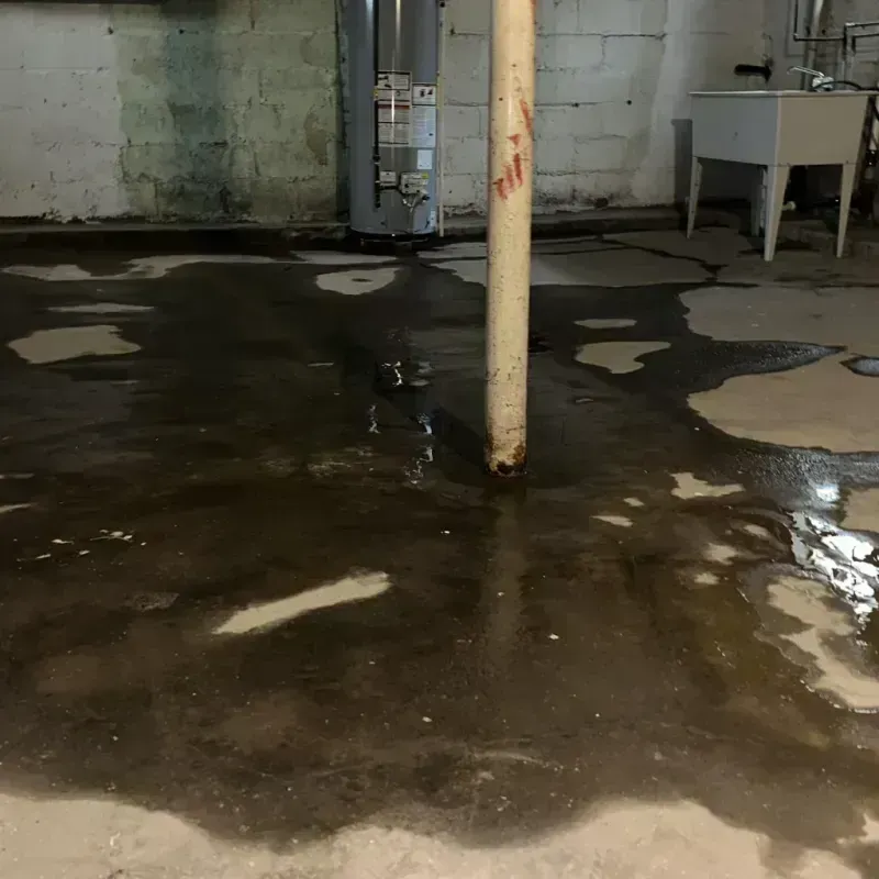 Emergency Water Extraction And Removal in Dry Run, OH